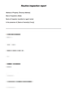 Routine Inspection Report