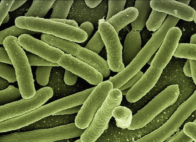 Legionella Risk Assessment Guidance and Mobile Template
