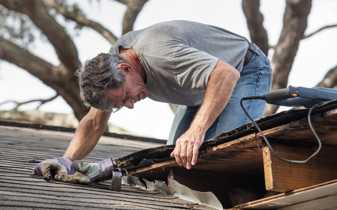 Who’s Right About Buy to Let Repair Gripes?