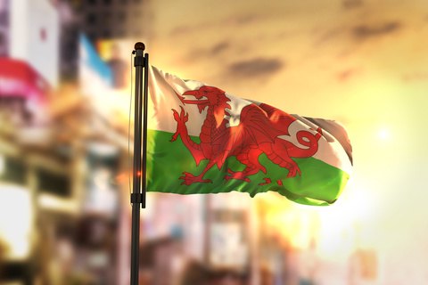 Landlords in Wales tied up in more red tape