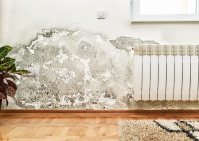 New Law to Tackle Bad Landlords and Unsafe Rented Homes