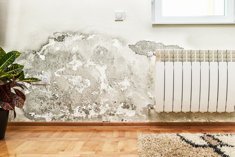 New Law to Tackle Bad Landlords and Unsafe Rented Homes