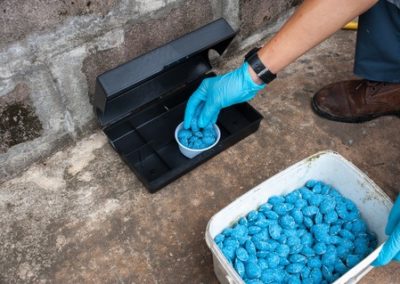 Infestation of Rats, Mice and Other Pests