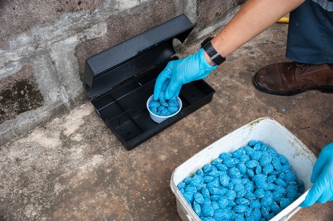 Infestation of Rats, Mice and Other Pests