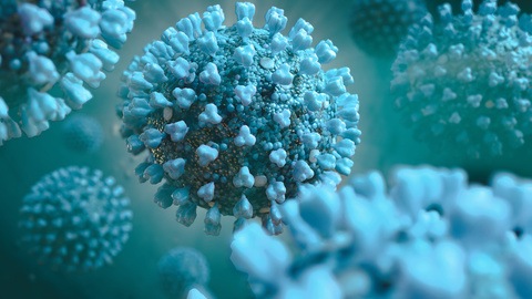 Coronavirus (COVID-19) – Advice for Shared House Landlords