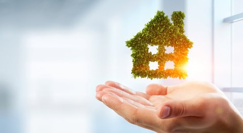 Green Homes Cash for Landlords Scrapped