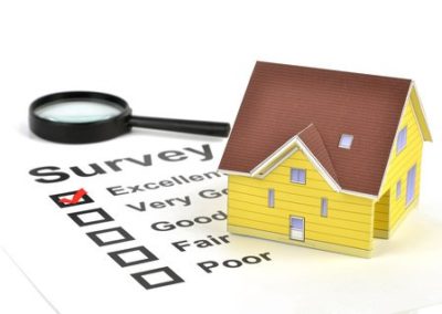 What Do Renters Think About Their Homes?